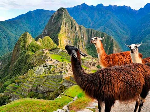 PanAmerican Travel