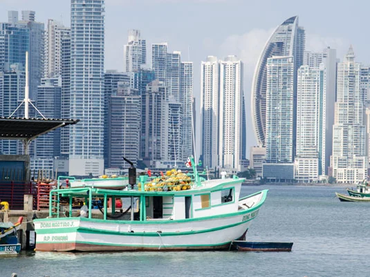 PanAmerican Travel
