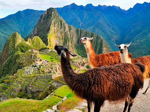 PanAmerican Travel